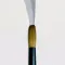 Art Brush Watercolor
