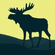Moose Calls for Hunters