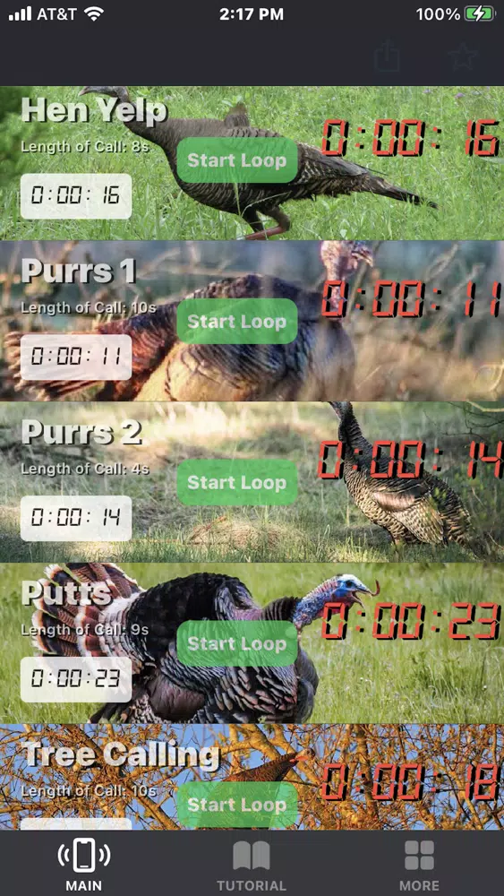 Turkey Calls for Hunting App Screenshots