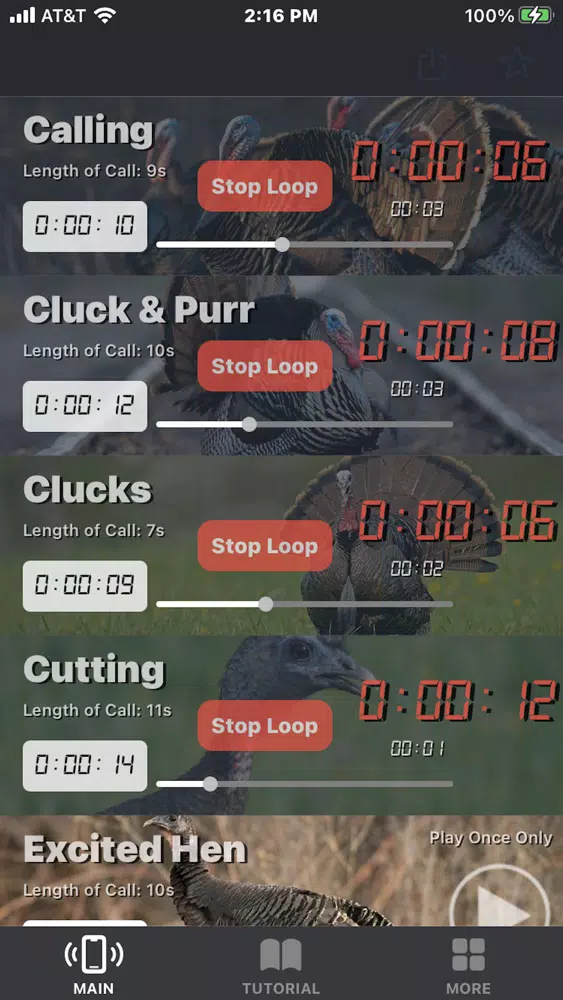 Turkey Calls for Hunting App Screenshots
