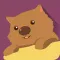 There’s a Wombat in my Bed