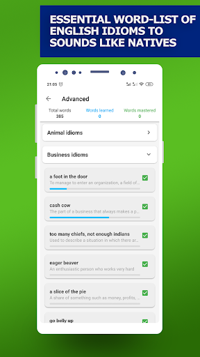 English Idioms & Slang Phrases Screenshots