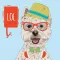 Hipster K9's