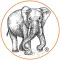 Arvind Handicrafts