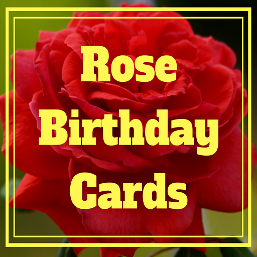 Rose Birthday Cards (Real Rose