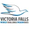 Vic Falls World Pigeon Race