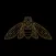 Cicada Media