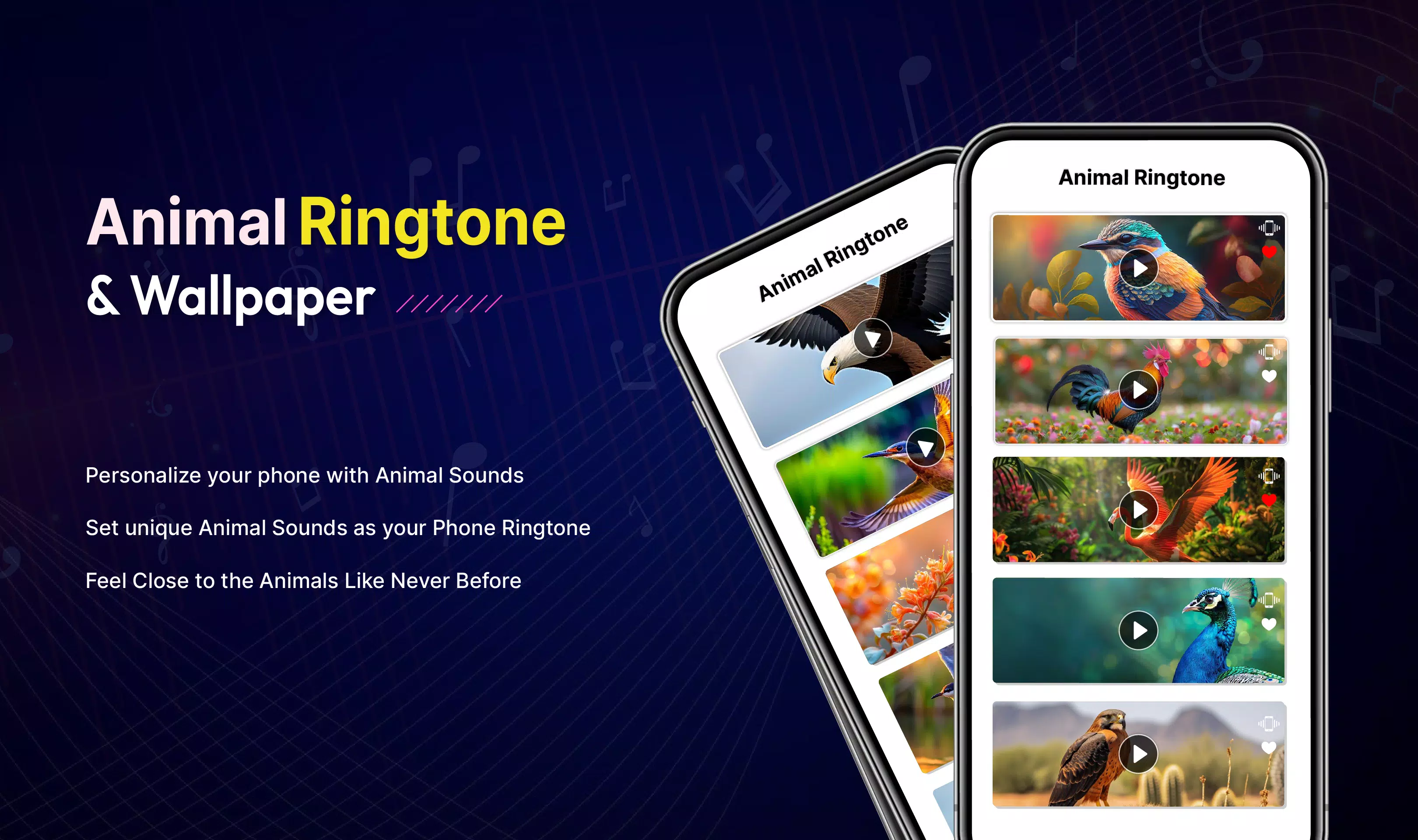 Animal Sounds: Birds Ringtones Screenshots