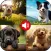 Dog Barking Sounds & Ringtones