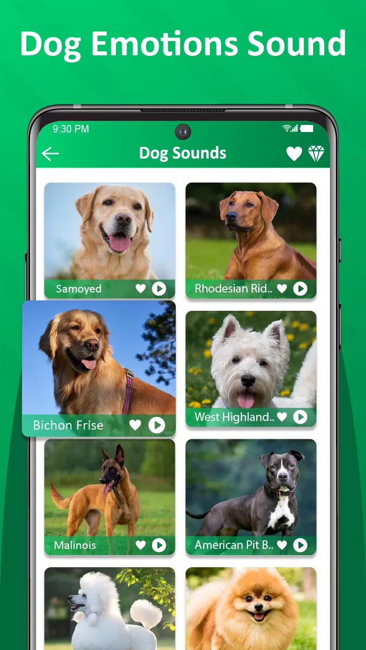 Dog Barking Sounds & Ringtones Screenshots