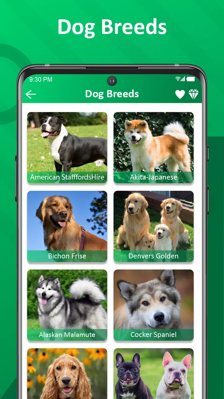 Dog Barking Sounds & Ringtones Screenshots