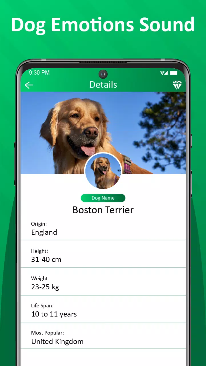 Dog Barking Sounds & Ringtones Screenshots