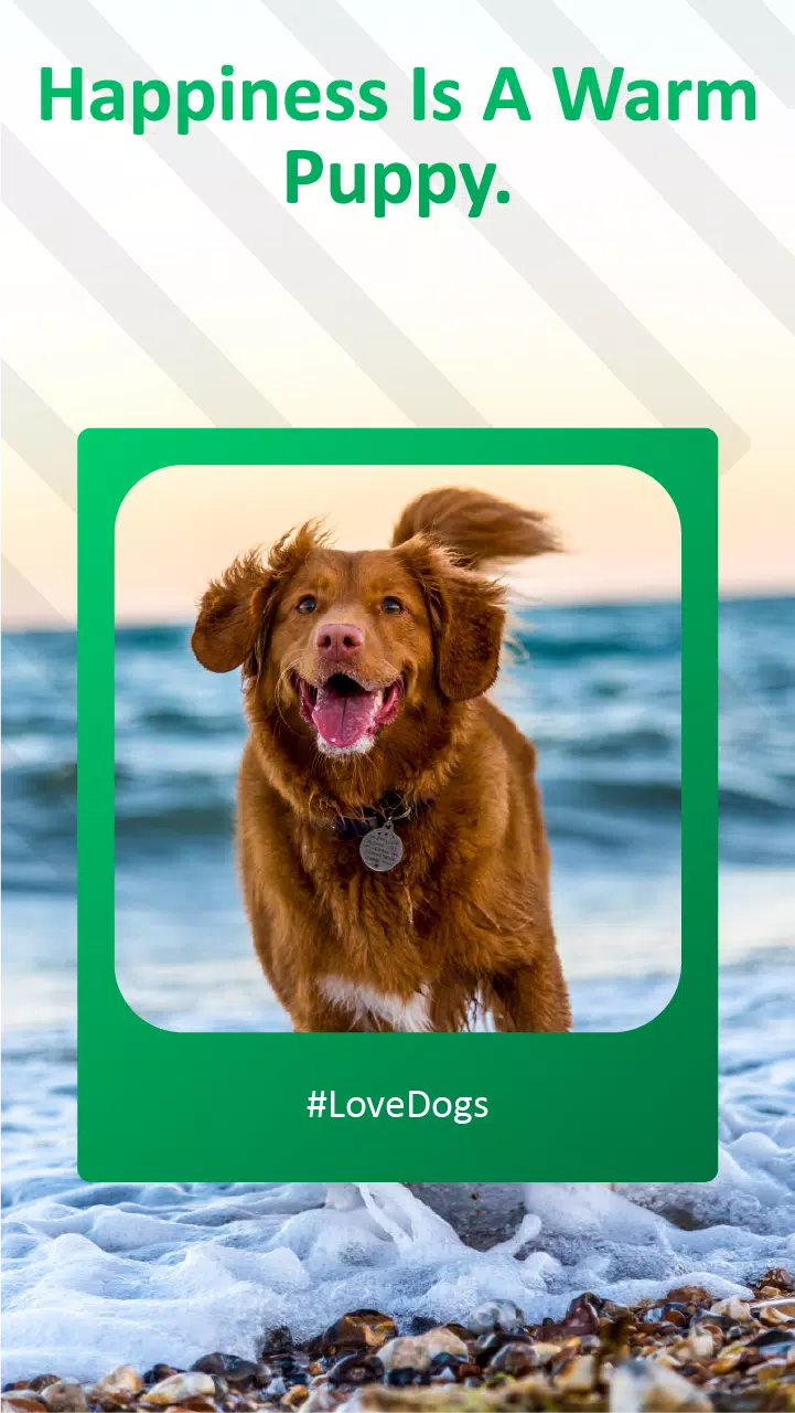 Dog Barking Sounds & Ringtones Screenshots