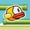 Rolly Bird - The Bird That Can't Fly