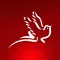 مراسل نت mrasel