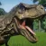 Hungry T Rex : Dino Game