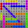 Word Search - Find the Words