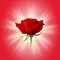 Romantic Rose Stickers