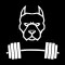 X-Fit