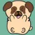 Boomer The Pug