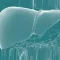 HCV Consensus Statement