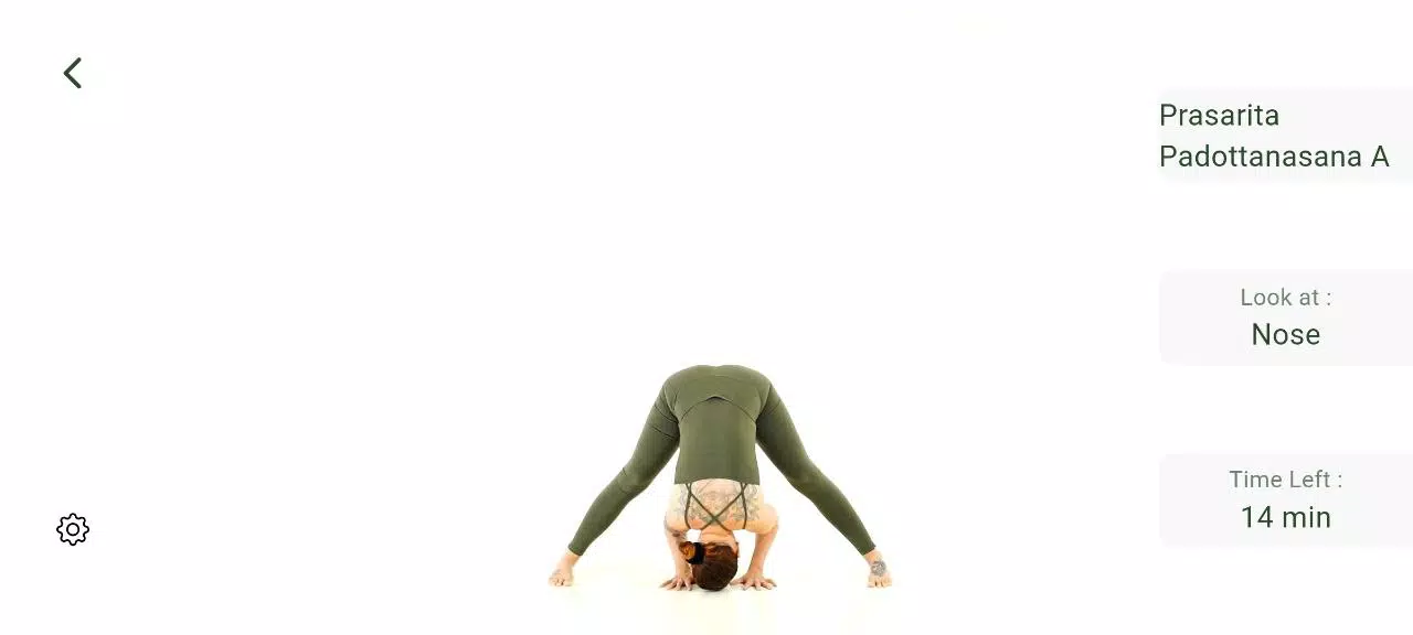 Zrzuty ekranu Ashtanga Yoga Home