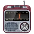 Alarm Clock Radio PRO