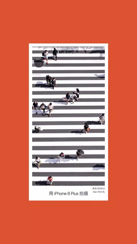Shot By: Shot On For iPhone Screenshots