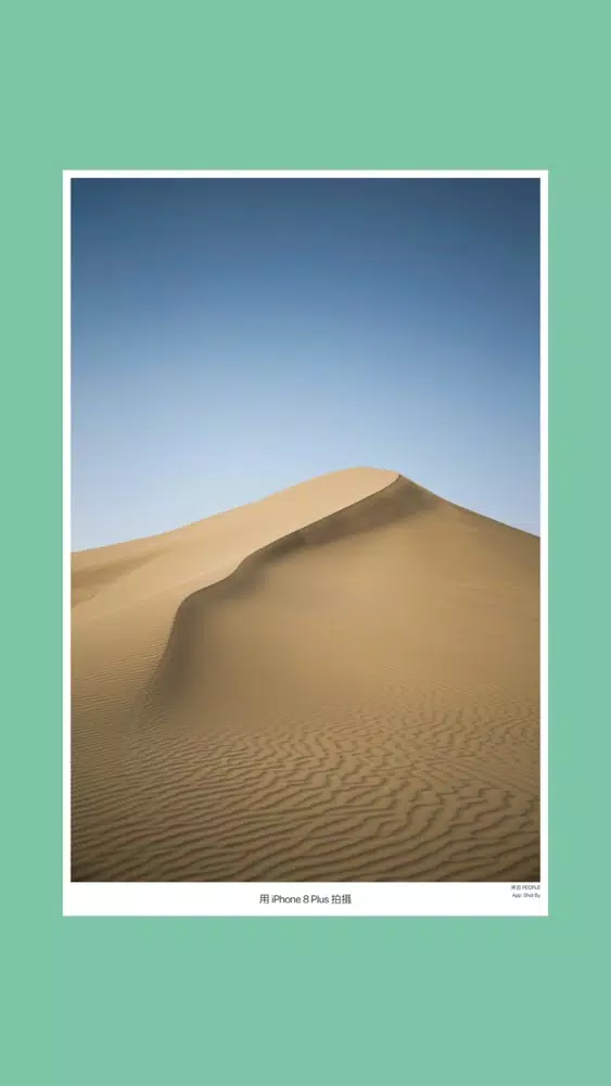 Shot By: Shot On For iPhone Screenshots