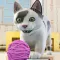 My Cute Cat Pet Simulator Game