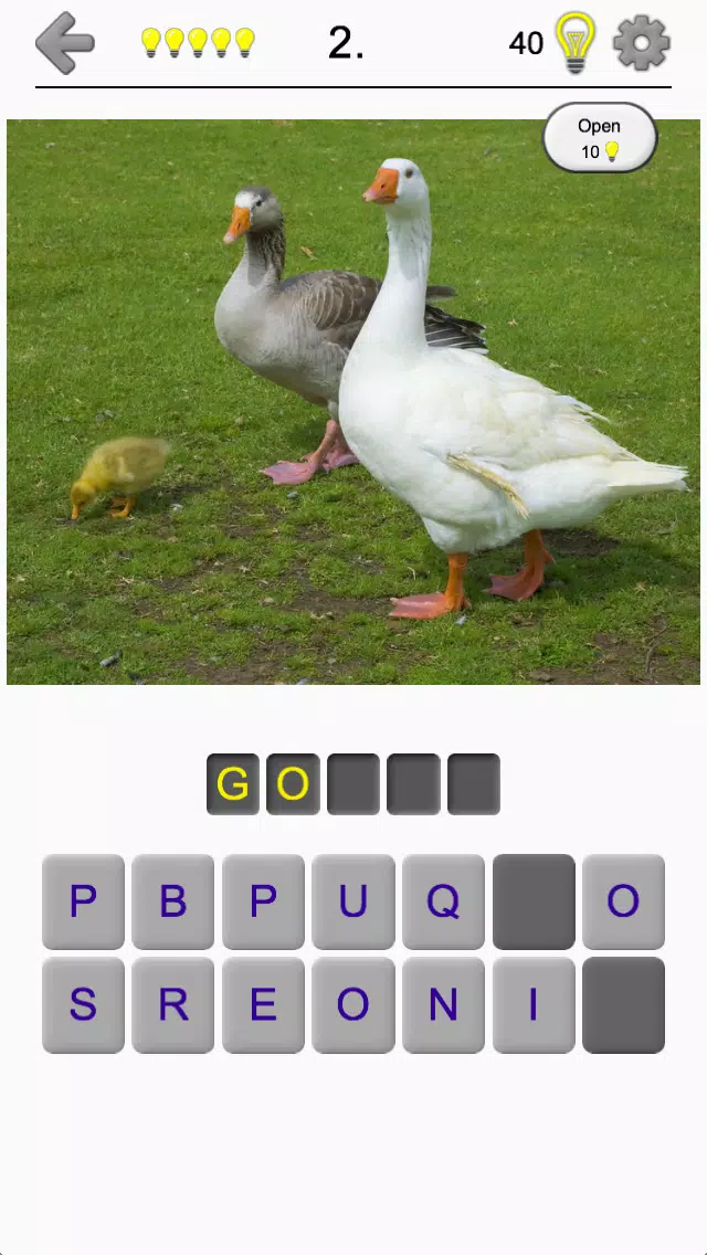 Bird World - Famous Birds Quiz Screenshots