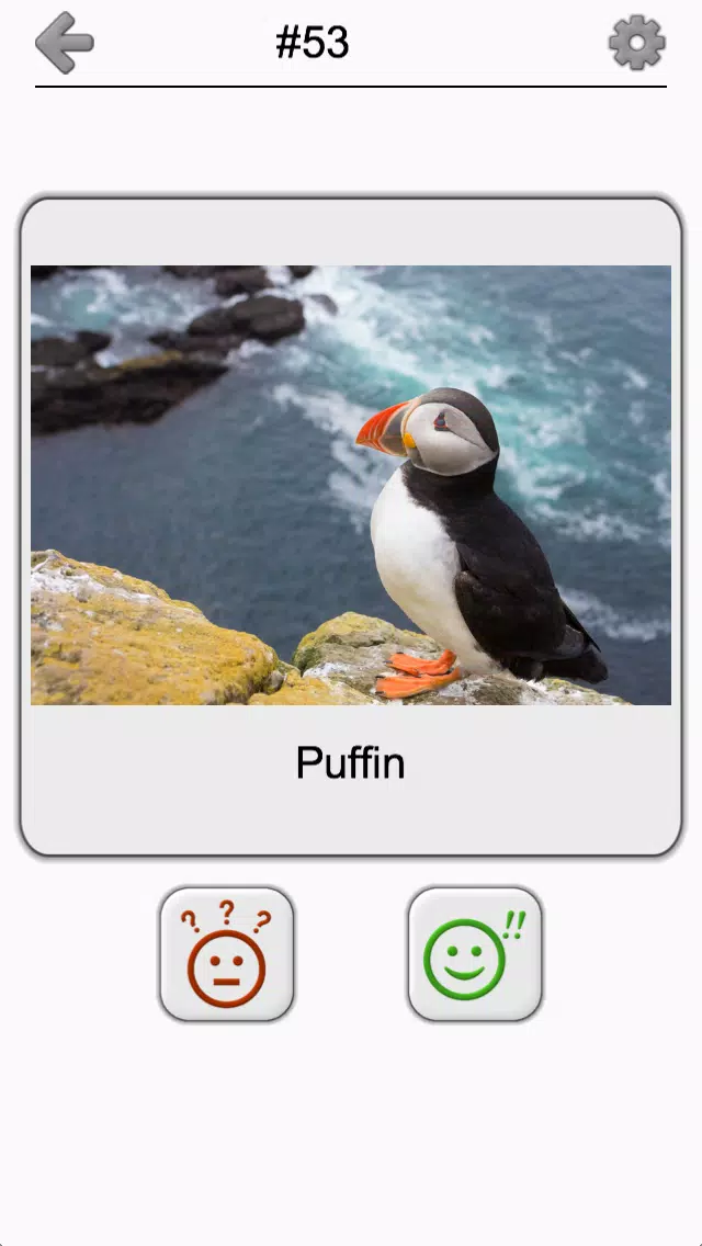 Bird World - Famous Birds Quiz Screenshots