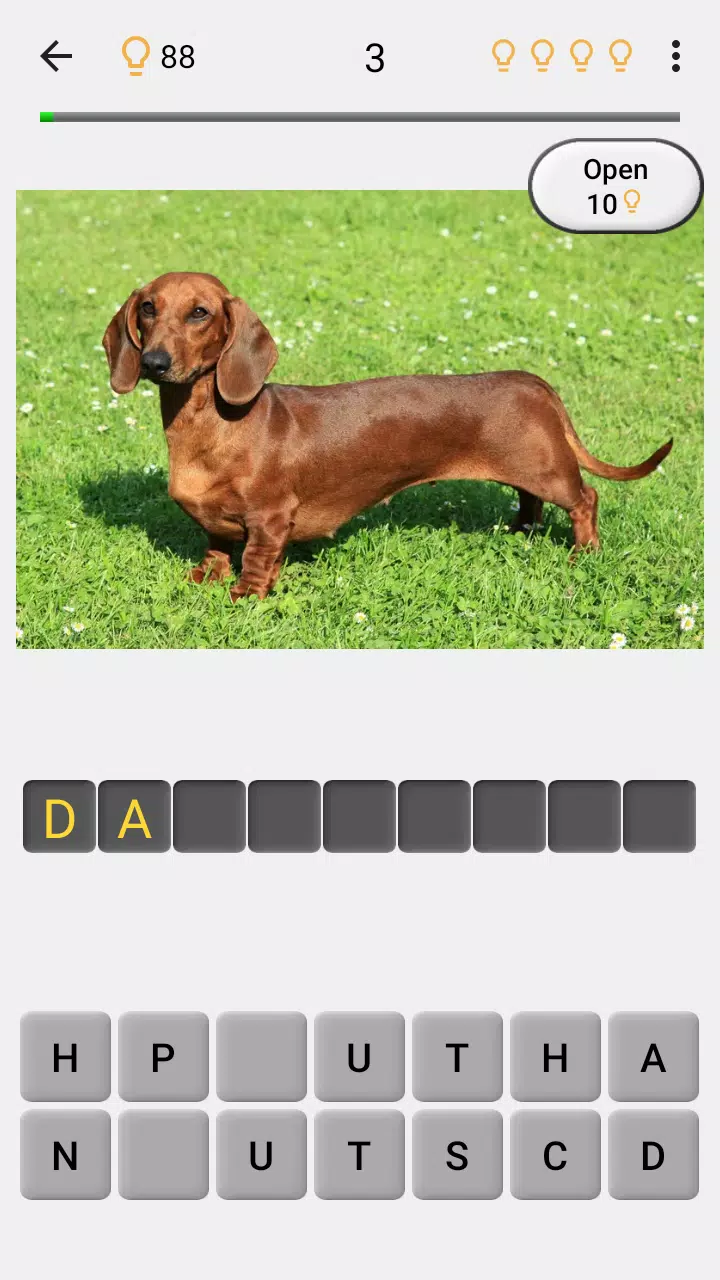 Dogs Quiz Screenshots