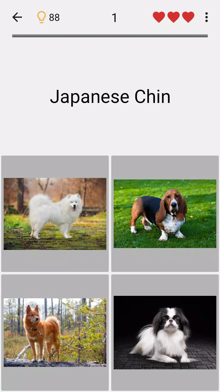 Dogs Quiz Screenshots