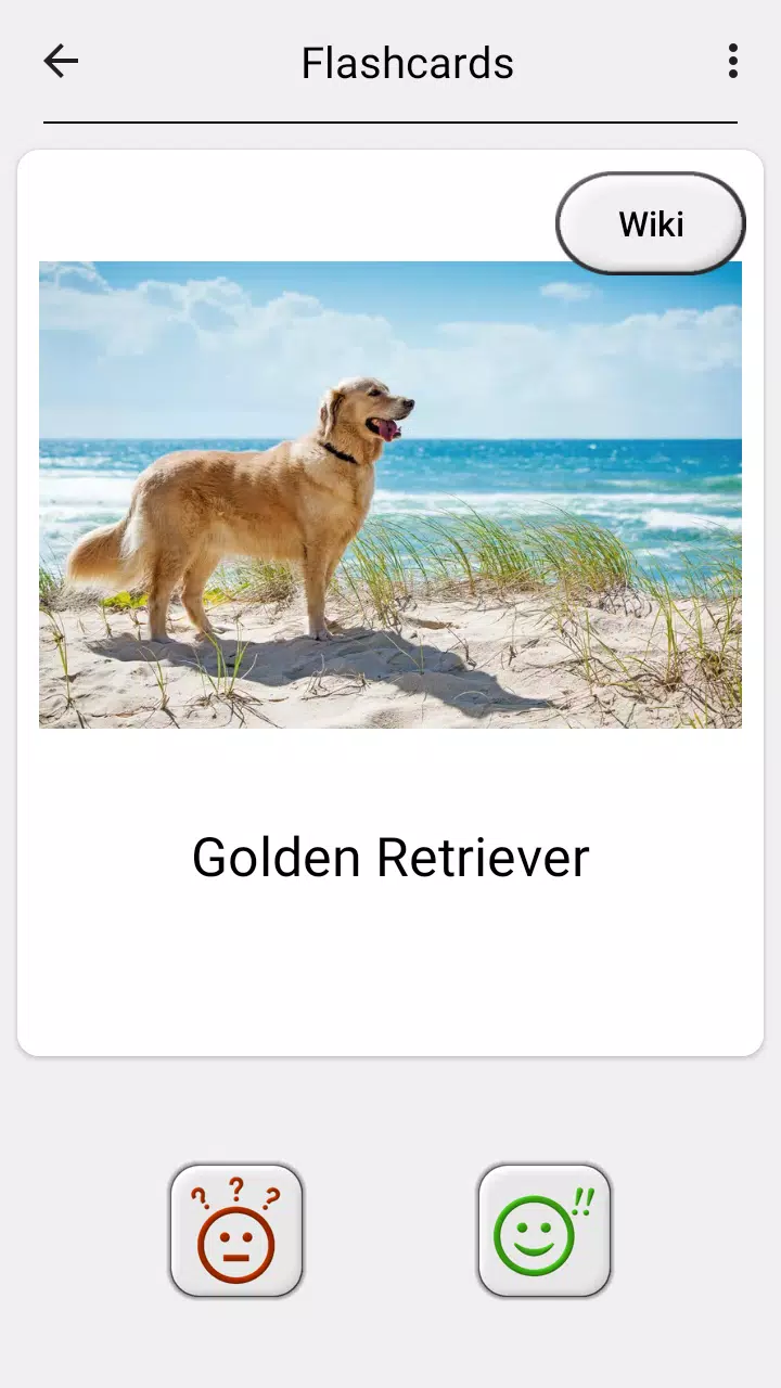 Dogs Quiz Screenshots