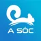 A Soc