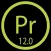 Go 12.0 Purchasing