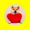 Doge Stickers - memes faces pack for iMessage