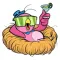 Bella The Snobby Pinky Bird