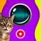 Cat Speaker