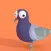 Pigeon Pooo