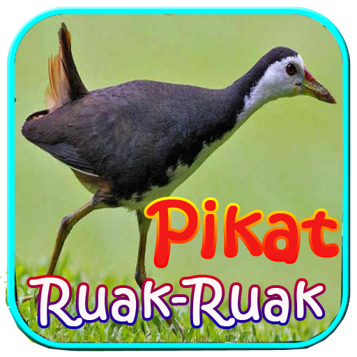 Pikat Ruak Ruak Ampuh