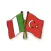 Italian Turkish Verb Test