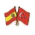 Spanish/Turkish Words Test