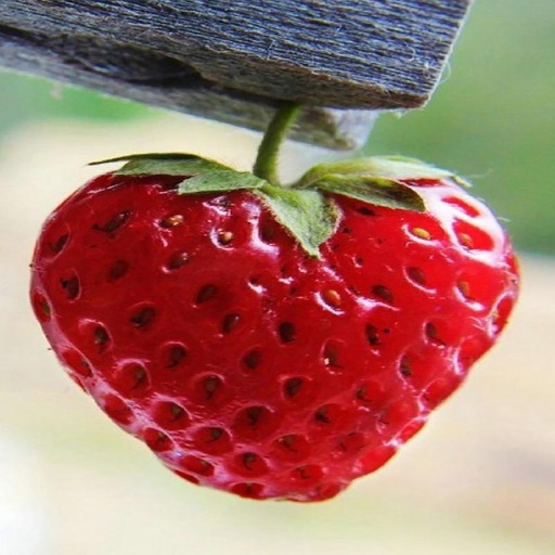 صور للواتس اب صور للواتس اب