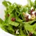 Appetizing Salads