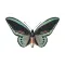 Amazing Butterfly Stickers