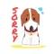 Sorry Stickers Pack