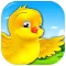 Little Country Bird Escape - Feeding Chick Blitz