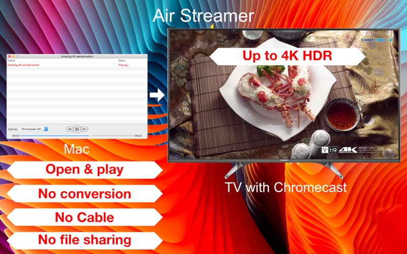 AirStreamer - for Chromecast Screenshots